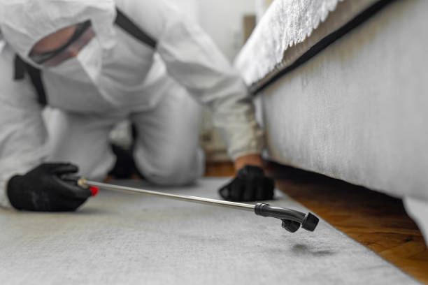 Professional Termite Control technician working in Demorest, GA