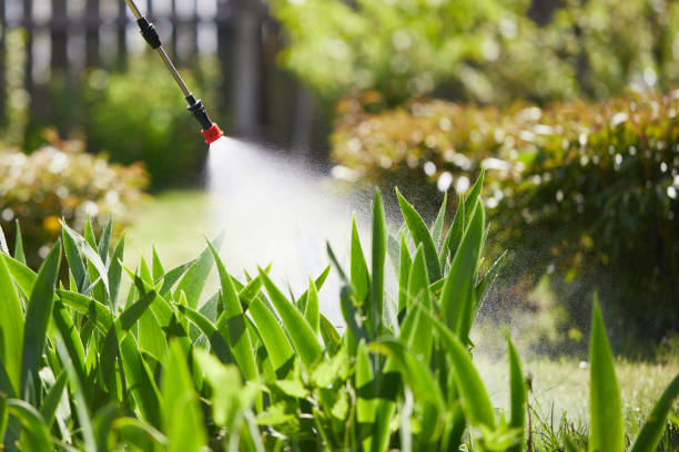 24/7 Emergency Termite Control experts in Demorest, GA