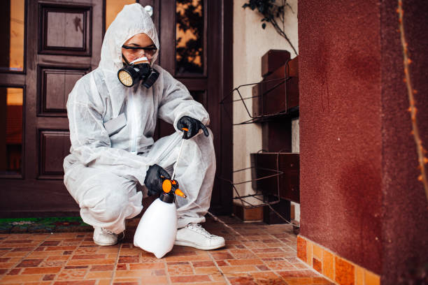 Reliable Termite Control contractor in Demorest, GA by Nex Pest Control
