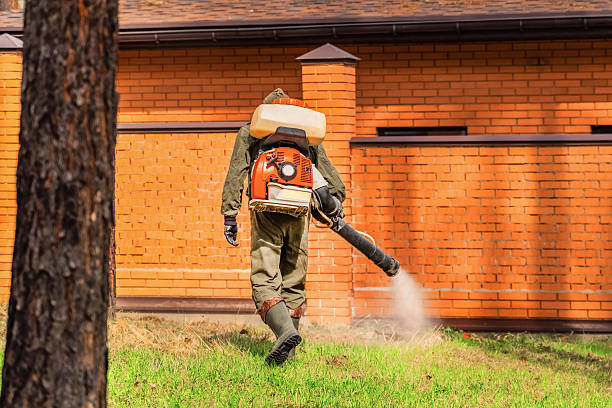 Top rated local Termite Control specialists in Demorest, GA